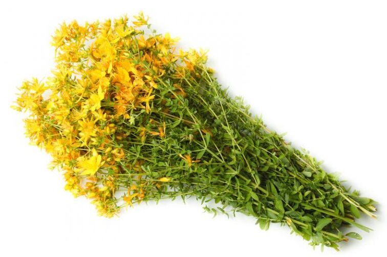 A herba de San Xoán úsase no tratamento da artrose
